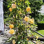 Delle Rose * Casasco Intelvi