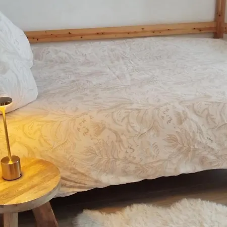 Delle Rose Apartment *