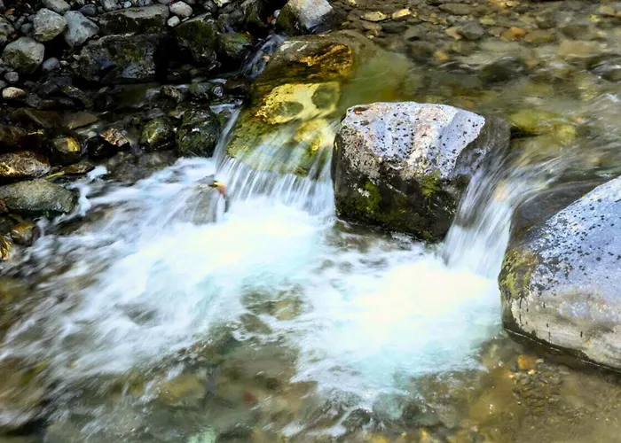 Апартаменты Delle Rose Casasco Intelvi