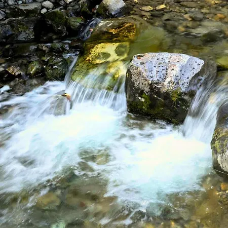 Apartamento Delle Rose Casasco Intelvi