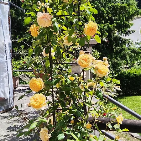 Delle Rose * Casasco Intelvi